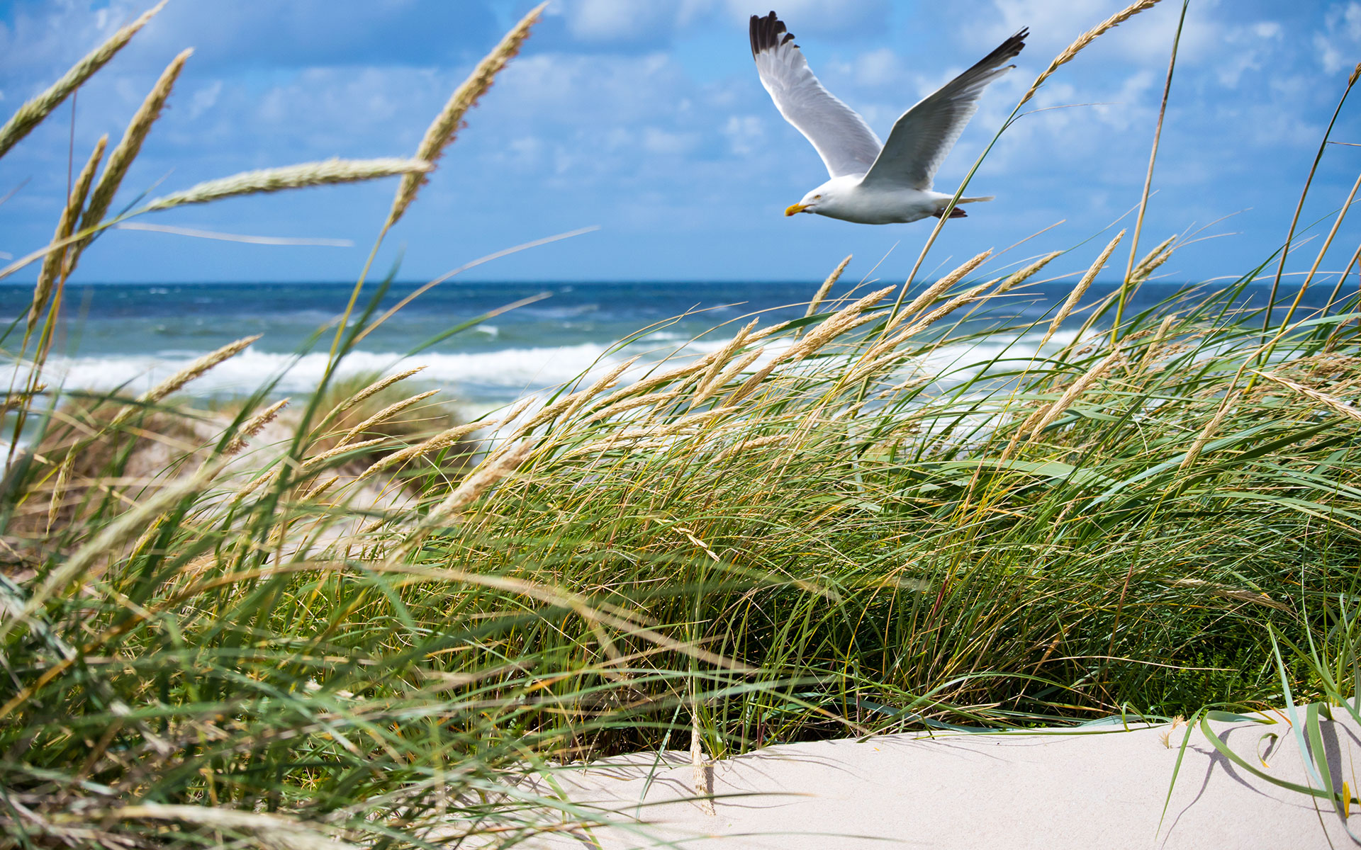 Foto MEHR MAI. MEHR MEER. MEHR MIRAMAR.